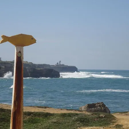 Surf 1