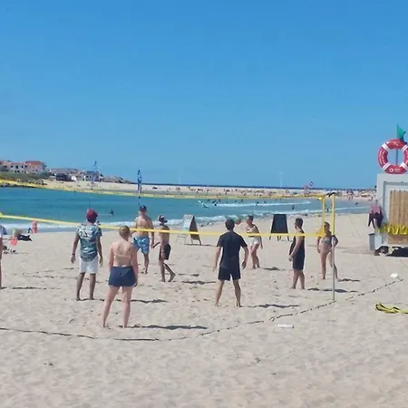 Surf 1 2* بينيش